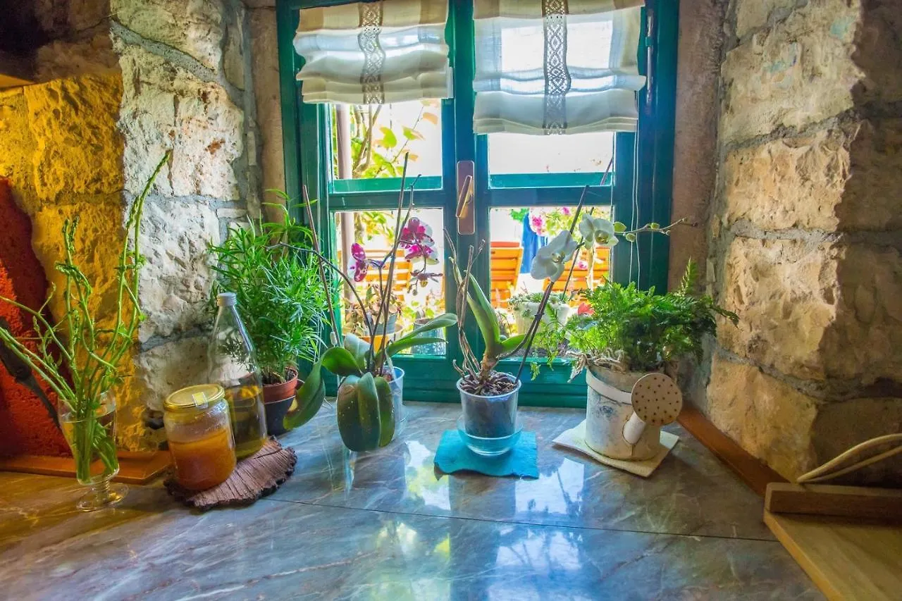 Authentic House Villa Albazora In Central Istria Žminj 크로아티아